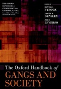 Cover: The Oxford Handbook of Gangs and Society - Oxford University Press Inc