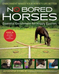 Abbildung von: No Bored Horses - Trafalgar Square