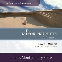 Enlarge image Cover: The Minor Prophets: An Expositional Commentary, Volume 2 - Blackstone Publishing