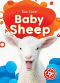 Cover: Baby Sheep - Blastoff! Beginners