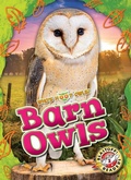 Cover: Barn Owls - Blastoff! Readers