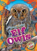 Cover: Elf Owls - Blastoff! Readers