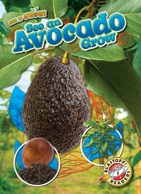 Enlarge image Cover: See an Avocado Grow - Blastoff! Readers