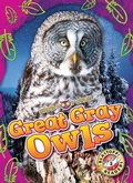 Cover: Great Gray Owls - Blastoff! Readers