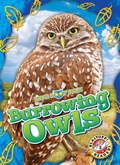 Cover: Burrowing Owls - Blastoff! Readers