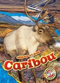 Cover: Caribou - Blastoff! Readers