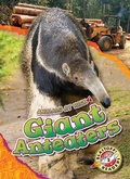 Cover: Giant Anteaters - Blastoff! Readers