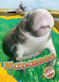 Cover: Manatees - Blastoff! Readers