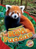Cover: Red Pandas - Blastoff! Readers