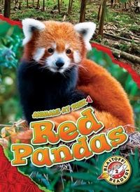 Enlarge image Cover: Red Pandas - Blastoff! Readers