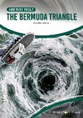 Cover: The Bermuda Triangle - Brightpoint Press