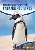 Cover: Endangered Birds - Brightpoint