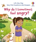 Cover: Very First Questions and Answers: Why do I (sometimes) feel angry? - Usborne Publishing Ltd