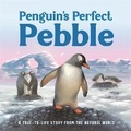 Cover: Penguin's Perfect Pebble - Autumn Publishing
