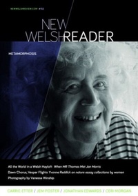 Abbildung von: New Welsh Reader 132 (New Welsh Review, summer 2023) - New Welsh Rarebyte