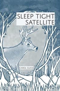 Enlarge image Cover: Sleep Tight Satellite - Tupelo Press, Incorporated