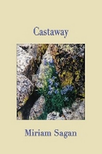 Enlarge image Cover: Castaway - Red Mountain Press