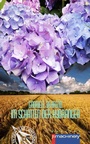 Cover: Im Schatten der Hydrangea - p.machinery