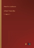 Cover: A Fool There Was - Outlook Verlag