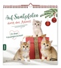Cover: Auf Samtpfoten durch den Advent - St. Benno
