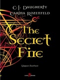 Cover: The Secret Fire - Leone Editore