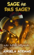 Cover: Un No&euml;l Coquin: Wicked Christmas - Entwined Publishing
