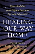 Cover: Healing Our Way Home - Parallax Press