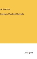 Cover: Catalogue of Ruminant Mammalia - Anatiposi Verlag