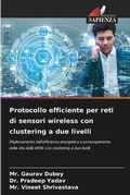 Cover: Protocollo efficiente per reti di sensori wireless con clustering a due livelli - Edizioni Sapienza