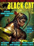 Cover: Black Cat Weekly #88 - Wildside Press