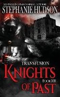 Cover: Knights of Past - Hudson Indie Ink