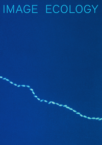 Enlarge image Cover: Image Ecology - Spector Books