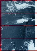 Cover: Veronika Kellndorfer: Wild Windows - Spector Books