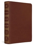 Cover: ESV Systematic Theology Study Bible - Crossway Books
