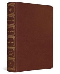Enlarge image Cover: ESV Systematic Theology Study Bible - Crossway Books