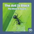Cover: The Ant Is Black - Little Blue Readers