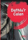 Cover: Mets Maesllan 2 - Dathlu'r Calan - Canolfan Peniarth
