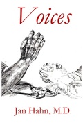 Cover: Voices - Parson's Porch