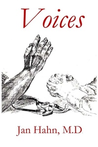 Enlarge image Cover: Voices - Parson's Porch