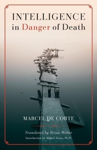 Enlarge image Cover: Intelligence in Danger of Death (English edition) - Arouca Press