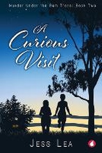 Enlarge image Cover: A Curious Visit - Ylva Verlag E.Kfr.