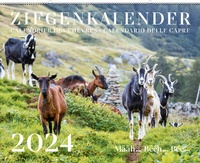 Abbildung von: Ziegenkalender / Calendrier des chèvres / Calendario delle capre 2024 - Weber Verlag AG