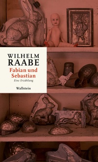 Enlarge image Cover: Fabian und Sebastian - Wallstein