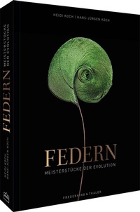 Abbildung von: Federn - Frederking & Thaler