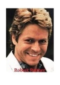 Cover: Robert Palmer - Lulu.com