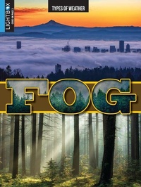 Enlarge image Cover: Fog - Lightbox