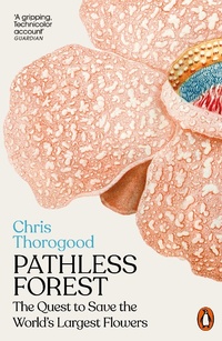 Enlarge image Cover: Pathless Forest - Penguin