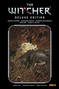 Abbildung von: The Witcher Deluxe-Edition, Band 2 - PANINI