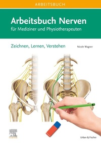 Abbildung von: Arbeitsbuch Nerven - Urban & Fischer