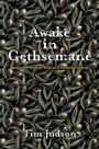 Cover: Awake in Gethsemane - Baylor University Press